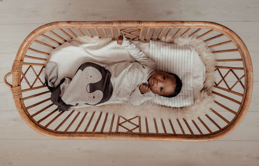 Pasgeboren Pinquin cocon - Snoozebaby